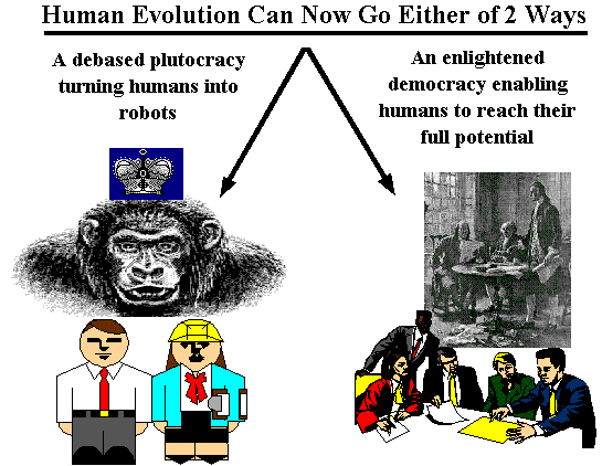 Human Evolution